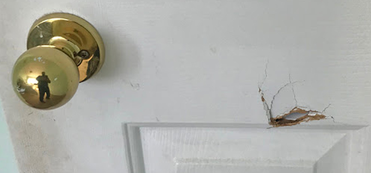 interior door hole repair West Little River