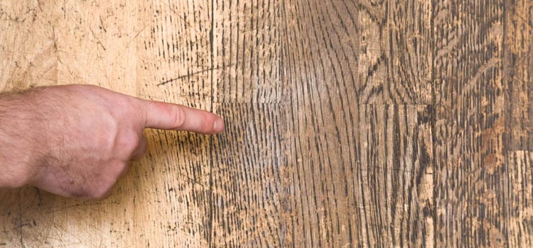 Wood Door Scratch Repair in West Little River